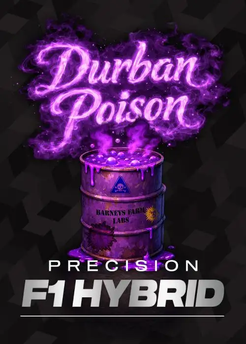 Durban Poison - F1 HYBRID