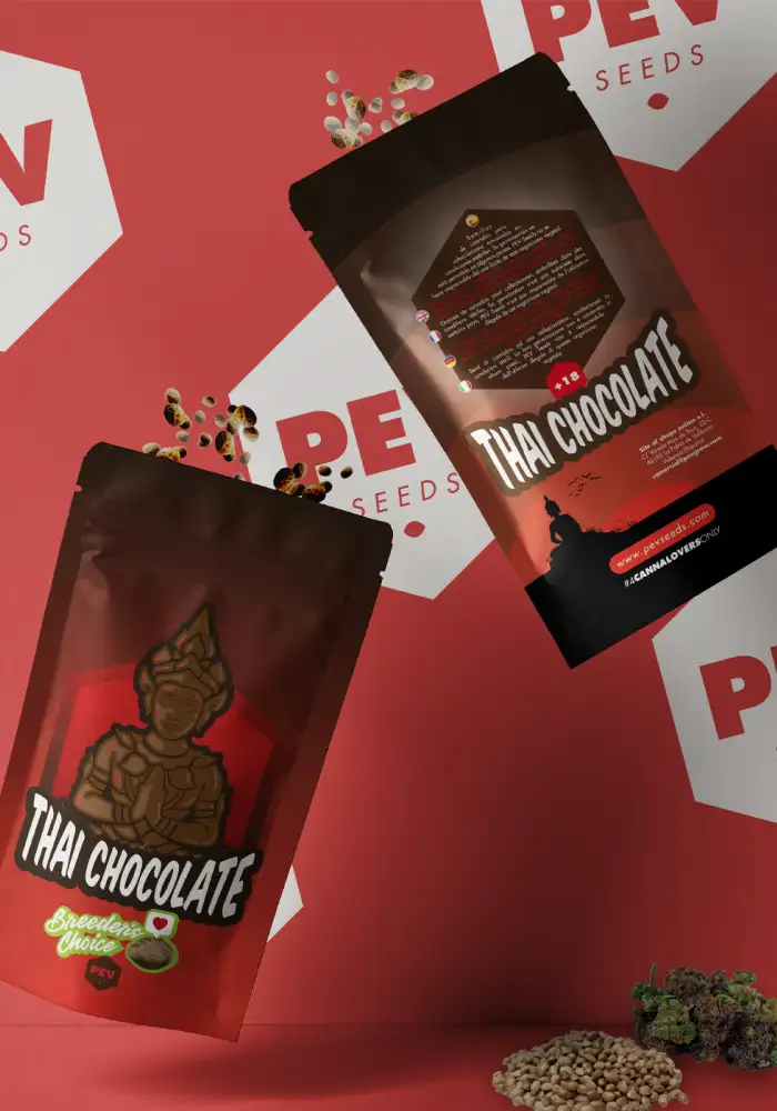 Thay Chocolate 2019