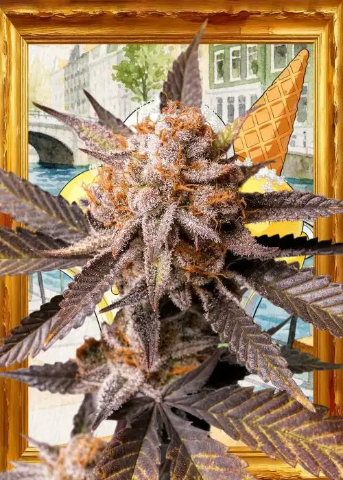 Sherblato Cake