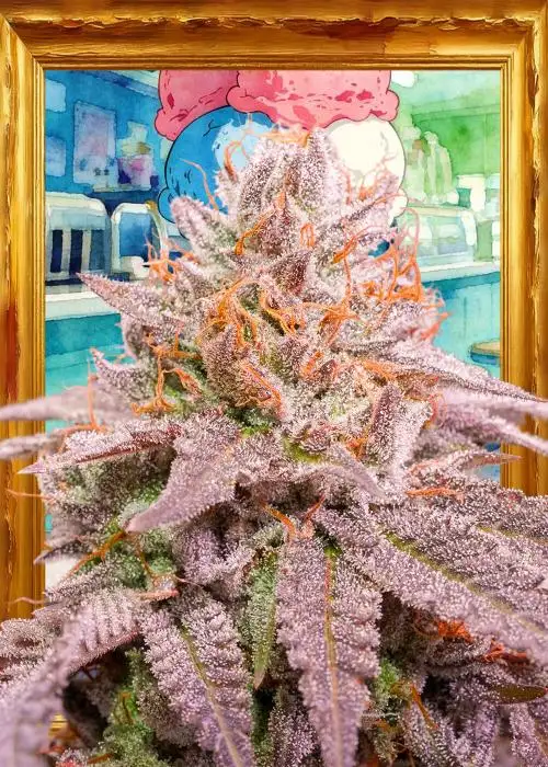 Ice Cream Cake F2