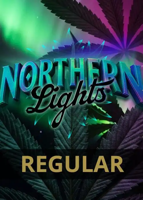 Northern Lights - Regular