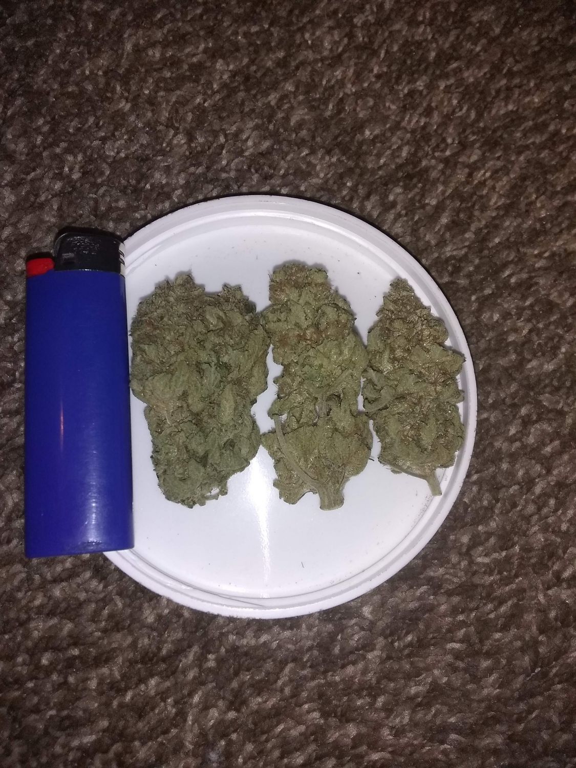 Citradelic Sunset Strain Info / Citradelic Sunset Weed By ETHOS