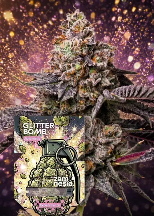 Glitter Bomb Auto