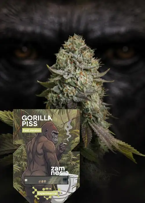 Gorilla Piss Fast Version