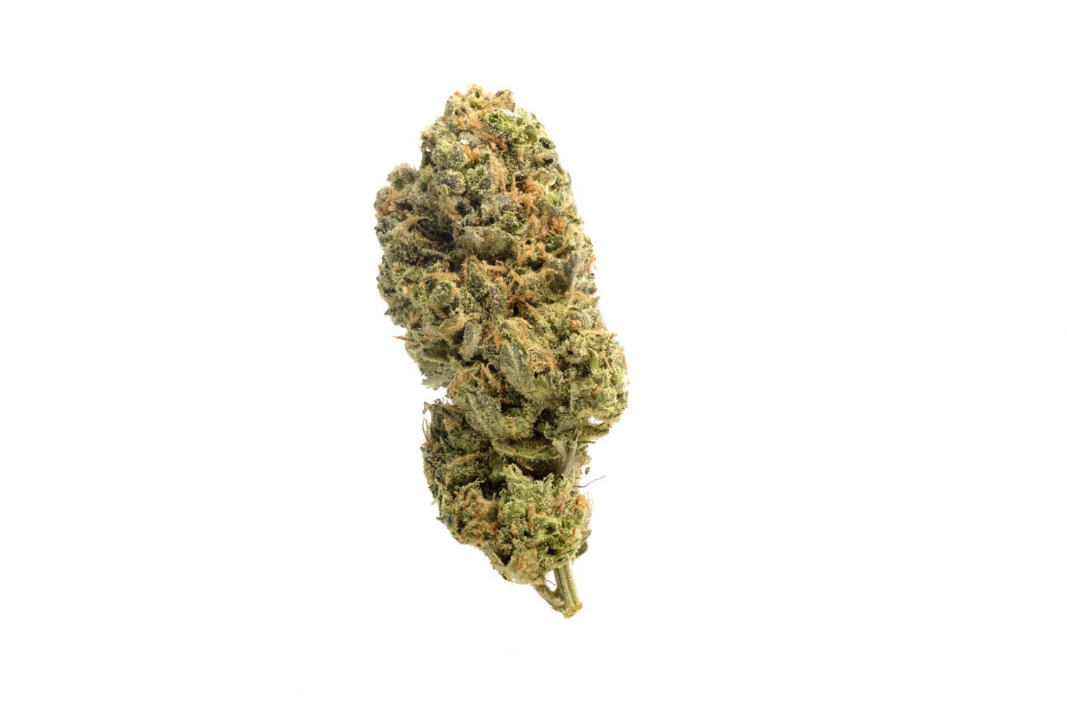Grapefruit Superstar Strain Info / Grapefruit Superstar Weed By