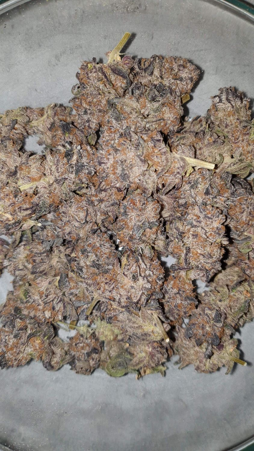 Animal Cookies x DoSiDos Strain Info / Animal Cookies x DoSiDos