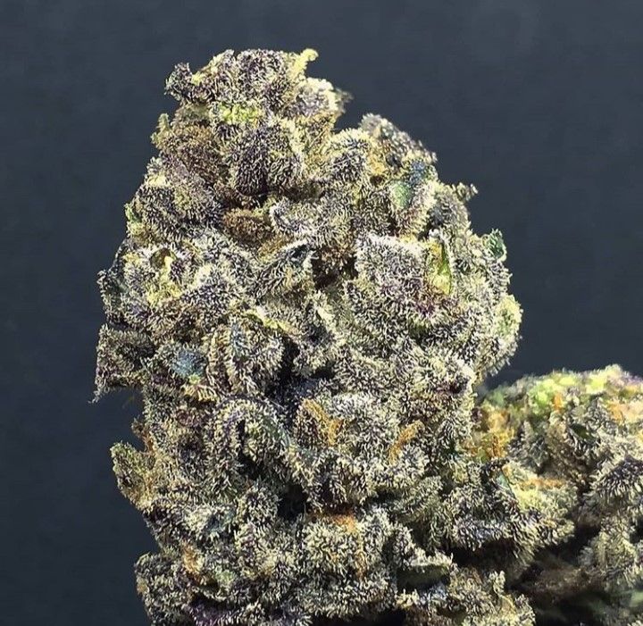 Wedding Cake Strain Info / Wedding Cake Weed By Lineage Genetics ...