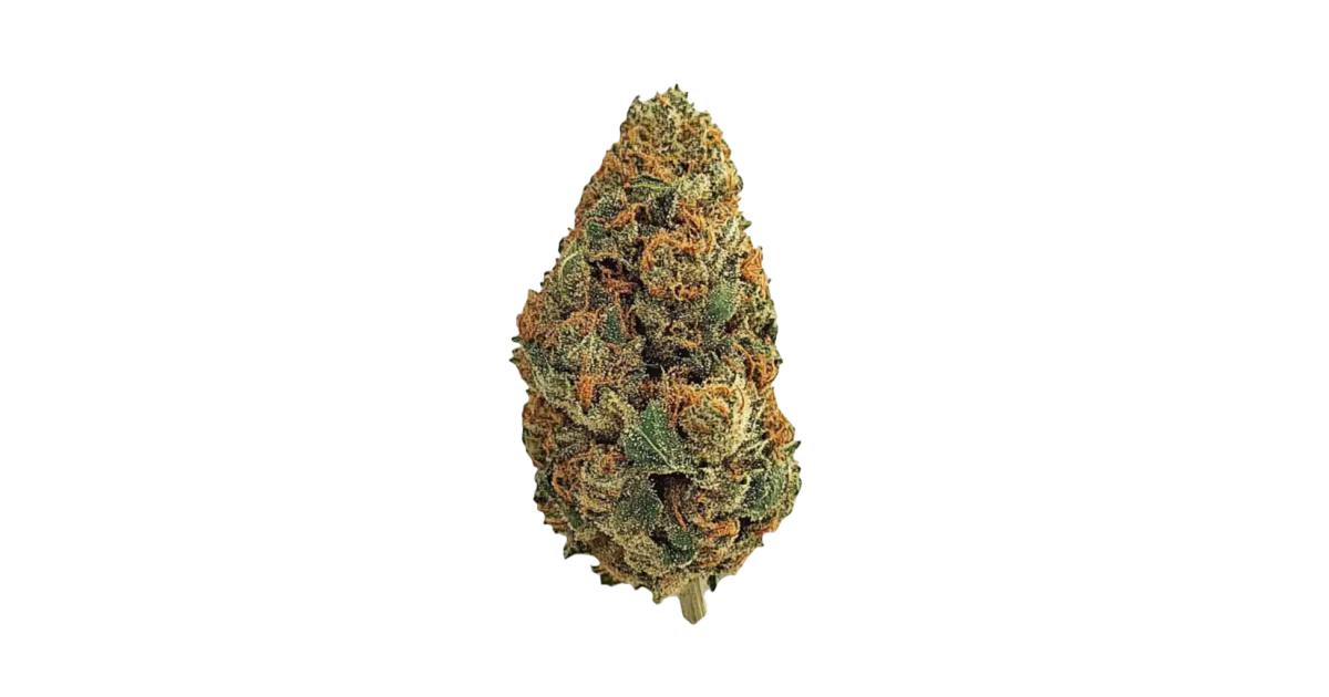 OG Kush Cannabis Strain Diaries - GrowDiaries
