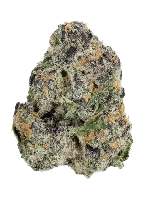 Stuffed Blue Cherry