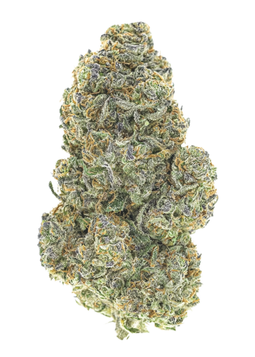 Berry Payton