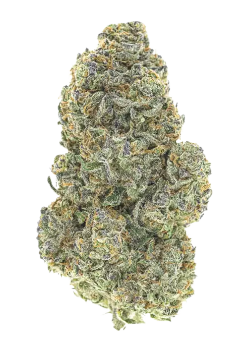 Berry Payton