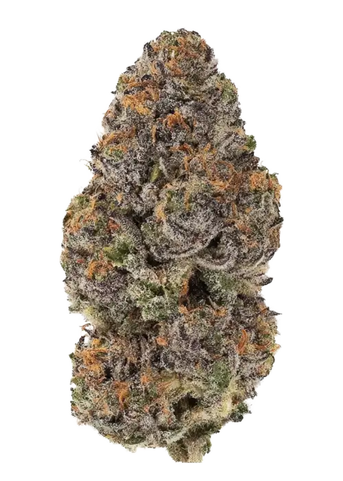 White Diamonds by Raw Genetics