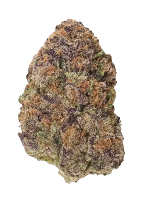 Pacific Pie