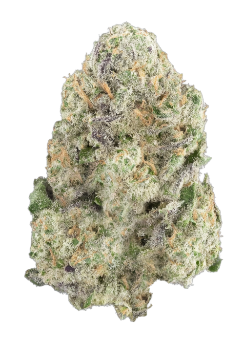 Banana Breeze