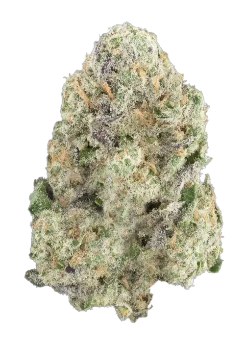 Banana Breeze