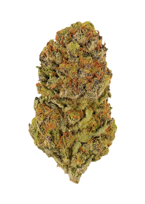 Durban Mints