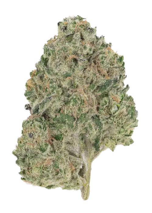 Apples ‘n’ Afghani