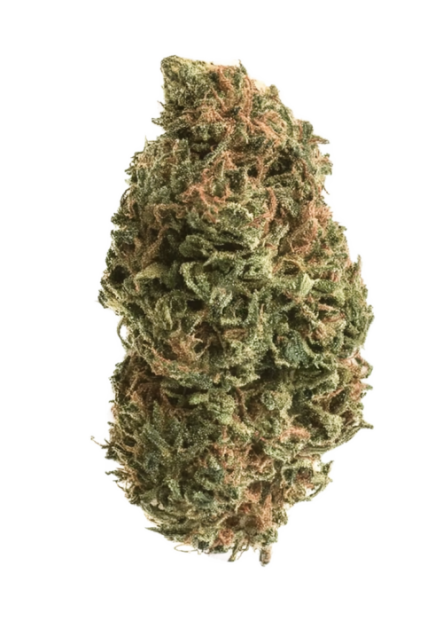 Manzanita