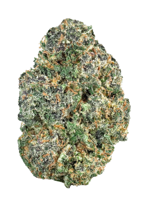 Kami Kush