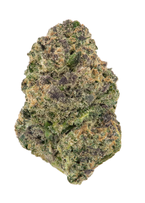 Orange Dreamsicle