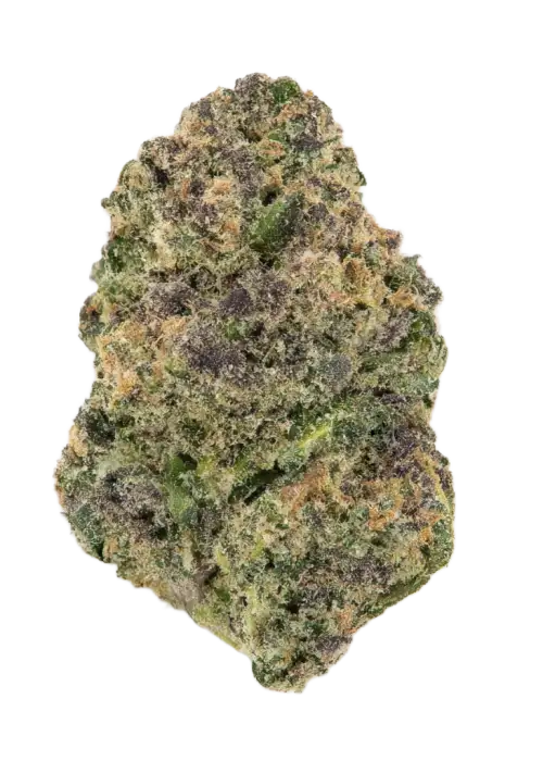 Orange Dreamsicle