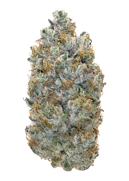 Pi Chew