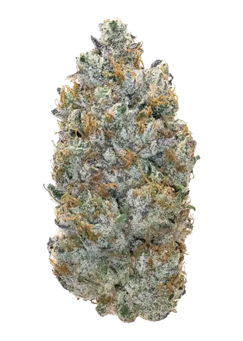 Pi Chew