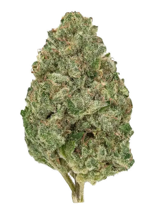 Blueberry Honey