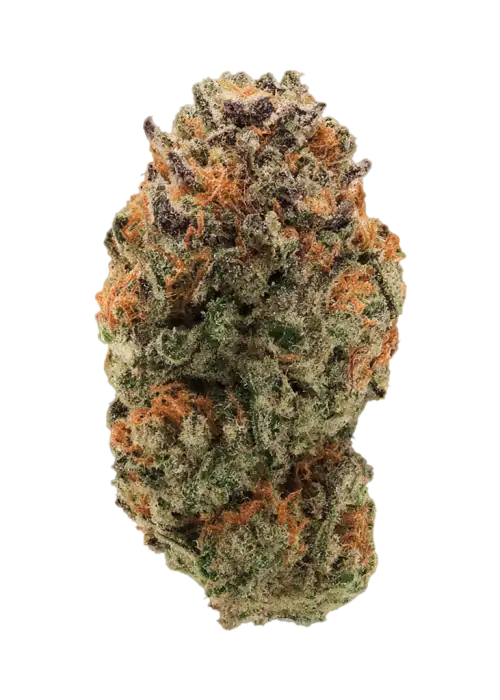 Blueberry Funk