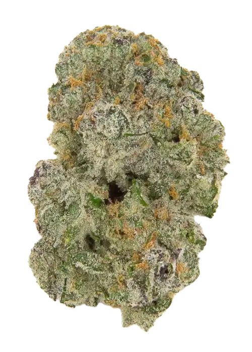 Super Lemon Cherry