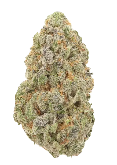 Sticky Berry Mints XXL