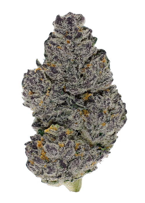 Lemon Drop Cookies