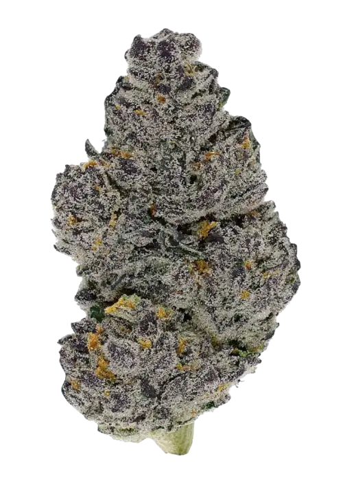 Lemon Drop Cookies