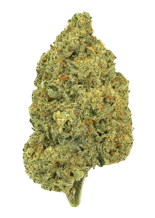 Wild Cherry by Seed Junky