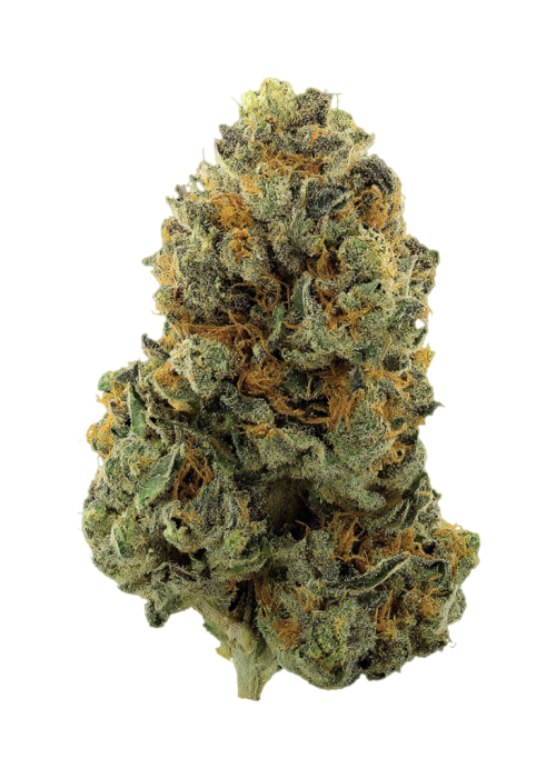 Kali Sour Kush