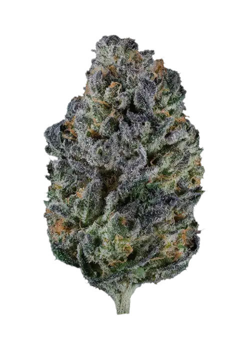 Candy Blues