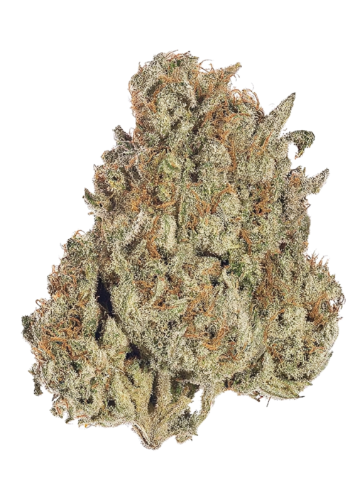 Candy Chrome (BNFNDZ)