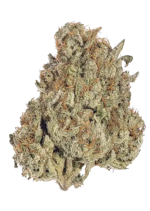 Candy Chrome (BNFNDZ)