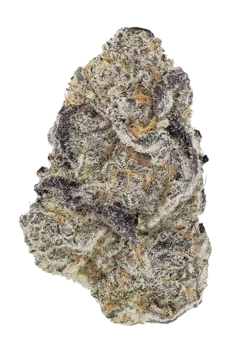 Double Stack (BNFNDZ)