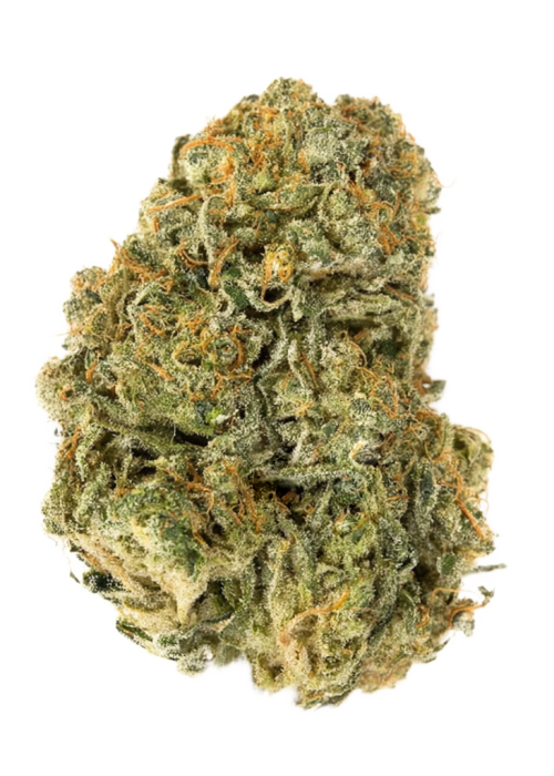 Super Lemon Nasty