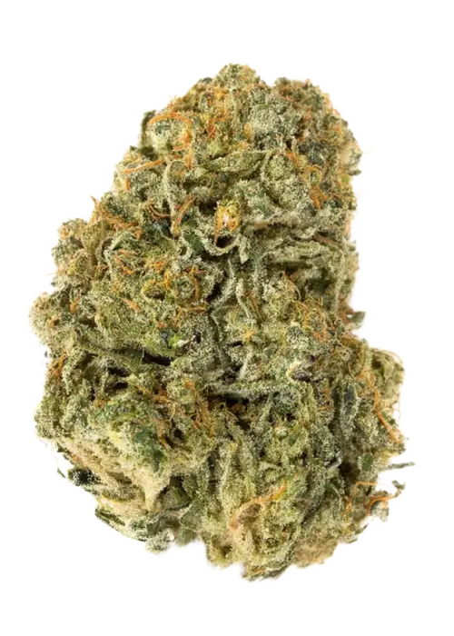 Super Lemon Nasty