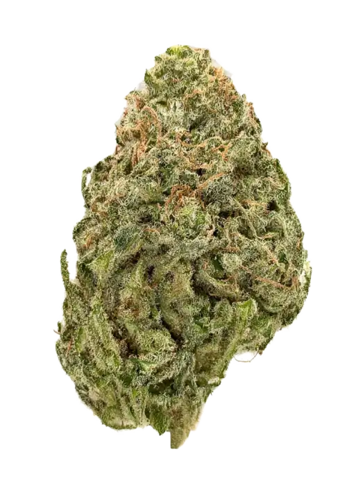 Mendo OG
