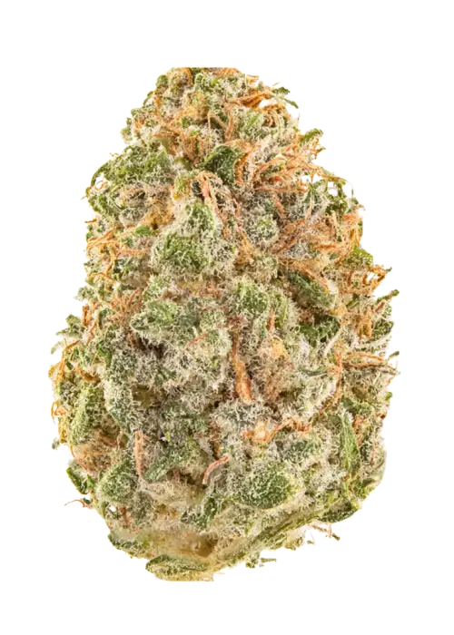 Kush Envy