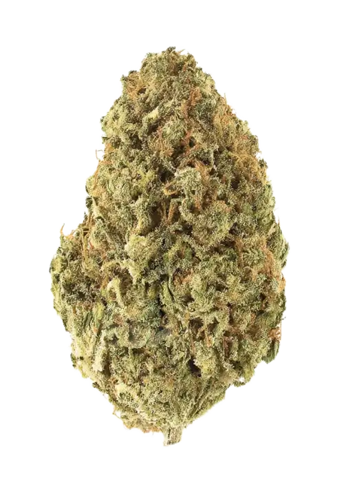 Island Cream