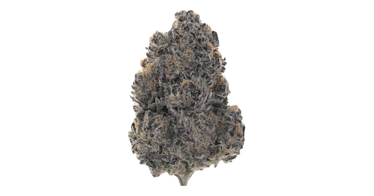 Purple Ink Cannabis Strain Information - GrowDiaries