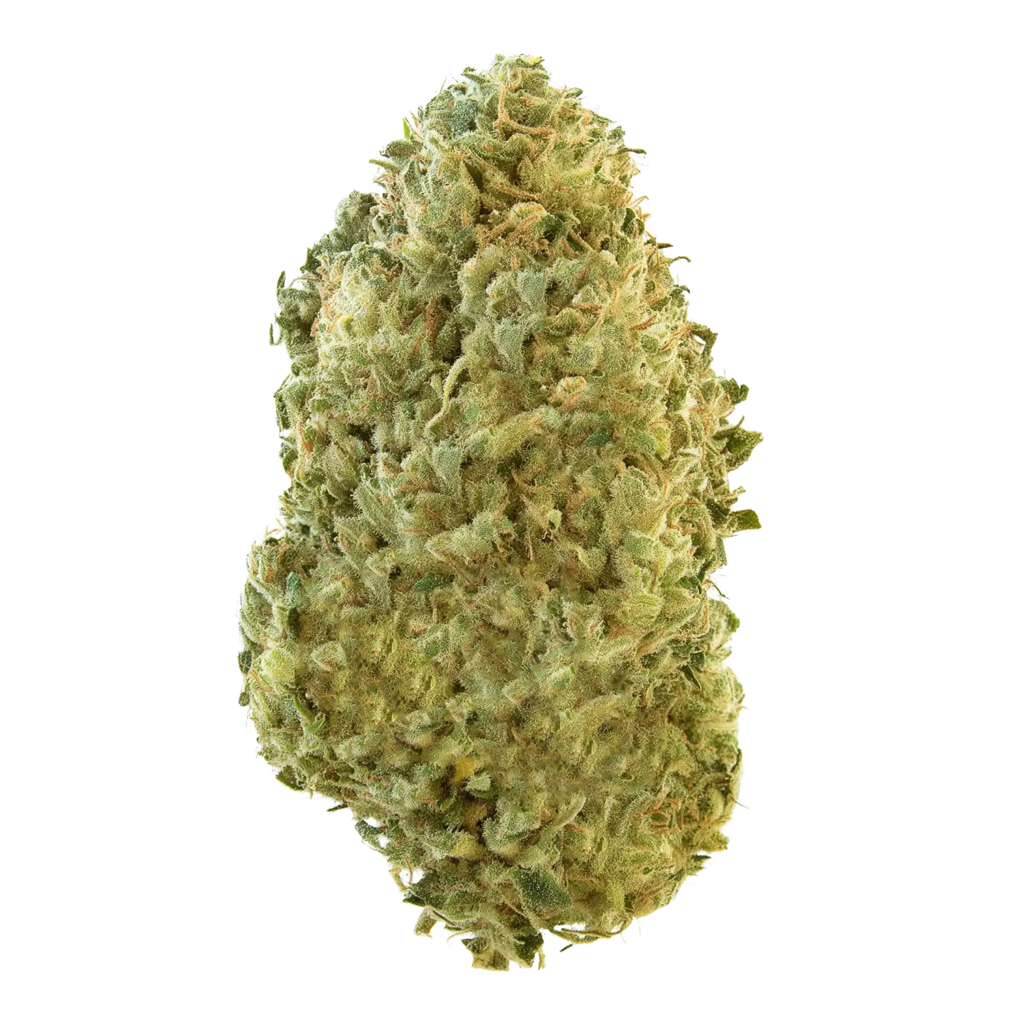 Blue Zparkle Cannabis Strain by Teds Budz Information -