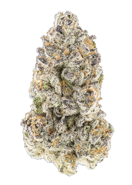 Zushimi by In House Genetics