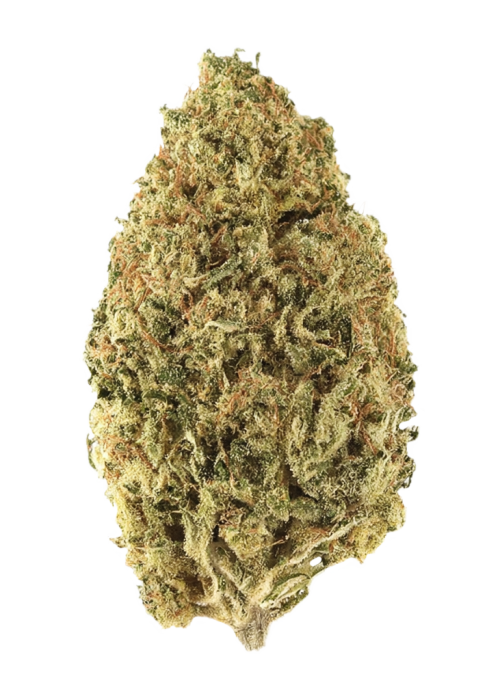 King Kong by Up The Hill