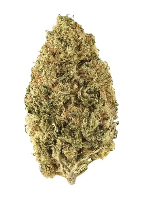 King Kong by Up The Hill