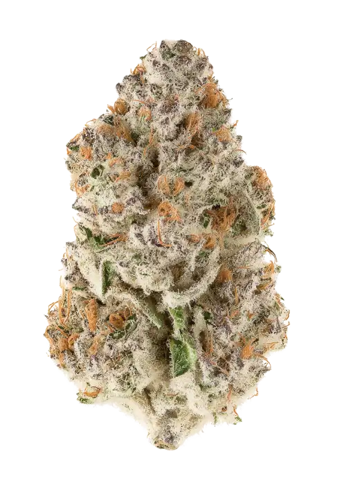 Lemon Cherry Icee